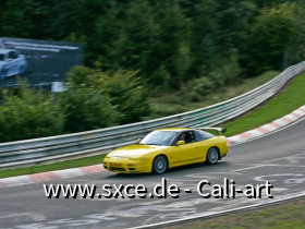 NM2010-7302.jpg