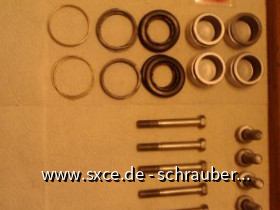 Z32 bremse revidieren