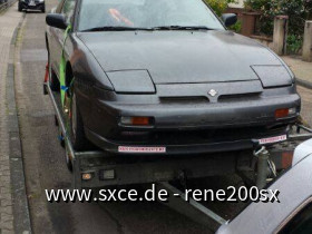 mein sx